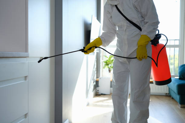 Best Toxic Mold Removal  in Ewa Villages, HI